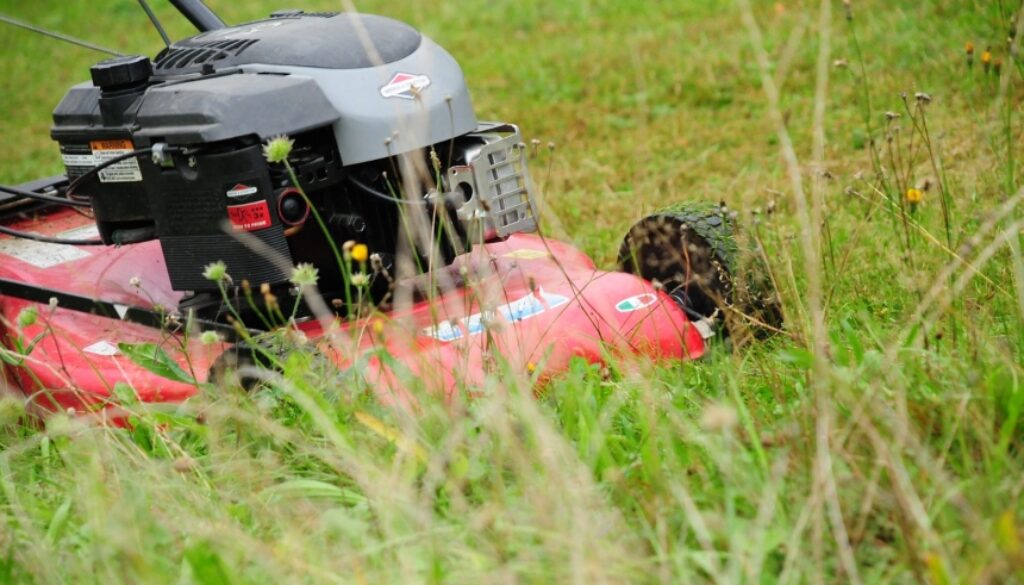 Best Type Of Oil For Your Lawn Mower
