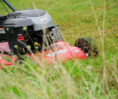 Best Type Of Oil For Your Lawn Mower