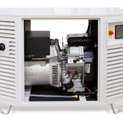 Endress ESE 808 GF LPG Generator