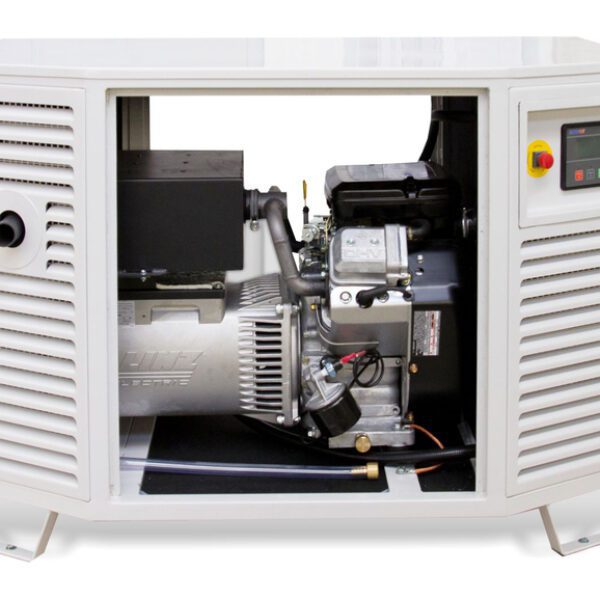 Endress ESE 808 GF LPG Generator