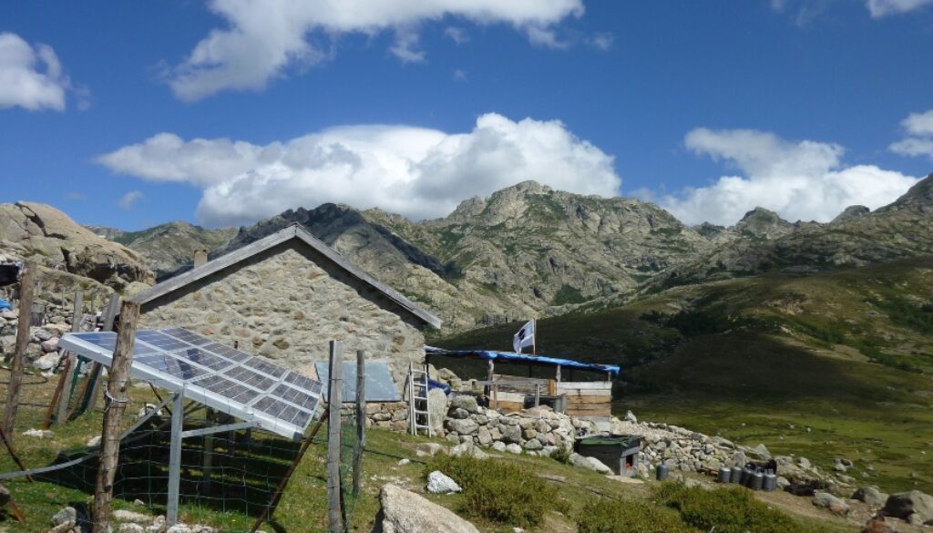 How Many Solar Panels Do I Need To Go Off-Grid