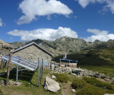 How Many Solar Panels Do I Need To Go Off-Grid